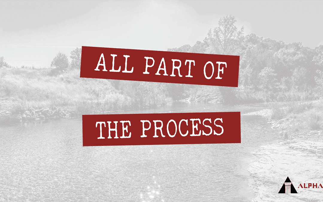 All Part of the Process
