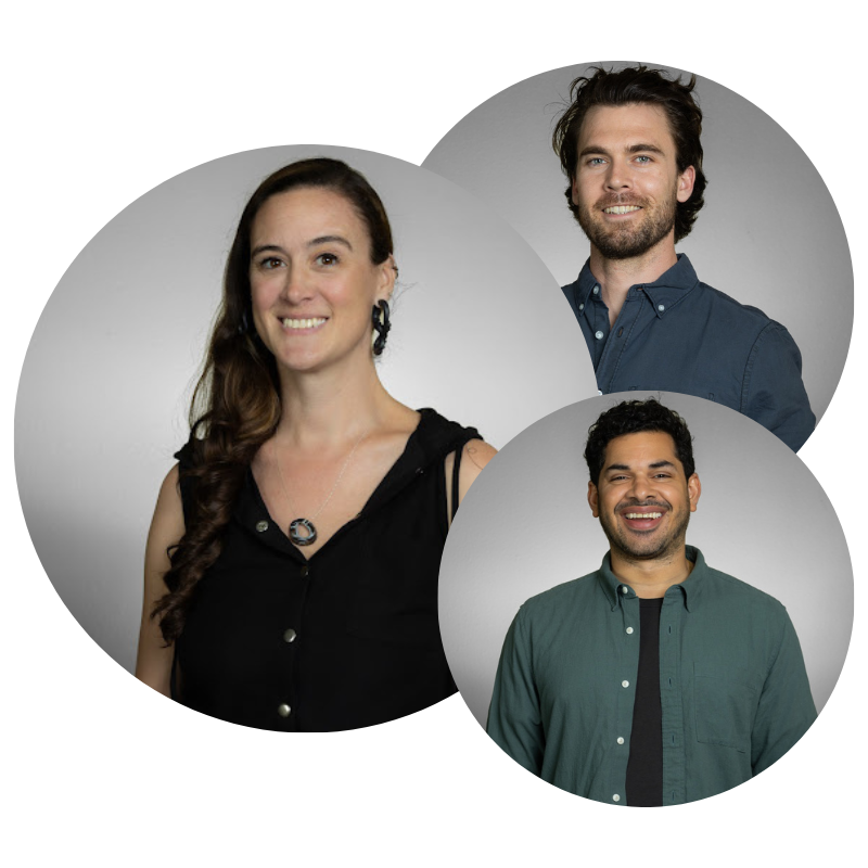 Alpha12 (800 × 800 px) (4) An image of professional counselors